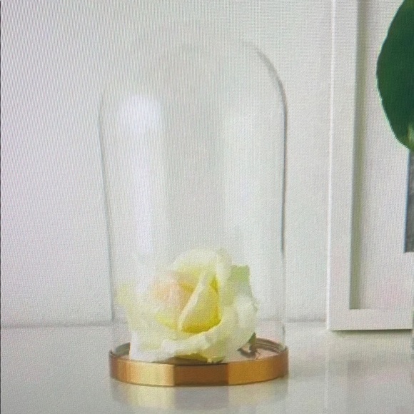 Other - Elegant Glass Dome with Cream Rose Accent